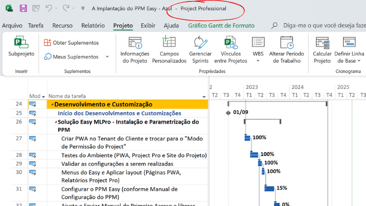 Cronograma no Project Professional